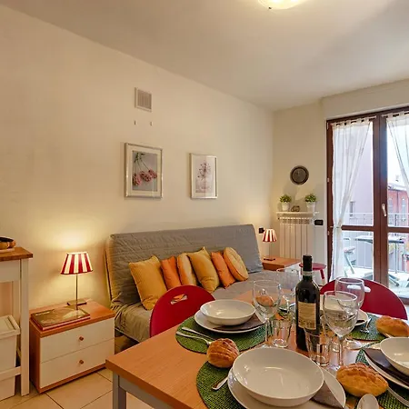Mimosa * Acquaseria
